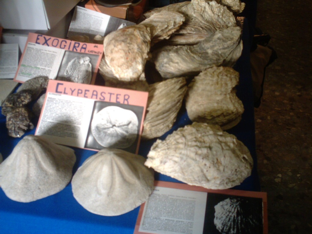 Roma - Mostra Ergife